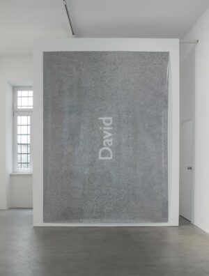 David 7klein Kopie