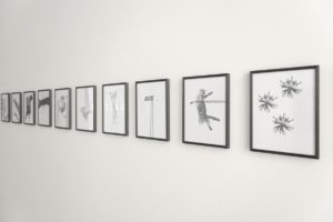 PF Ausstellungsansicht3klein