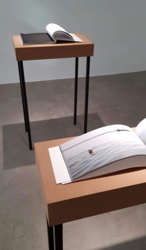 Sussudio 2 Buecher Kovacs Stiglitz exhibition