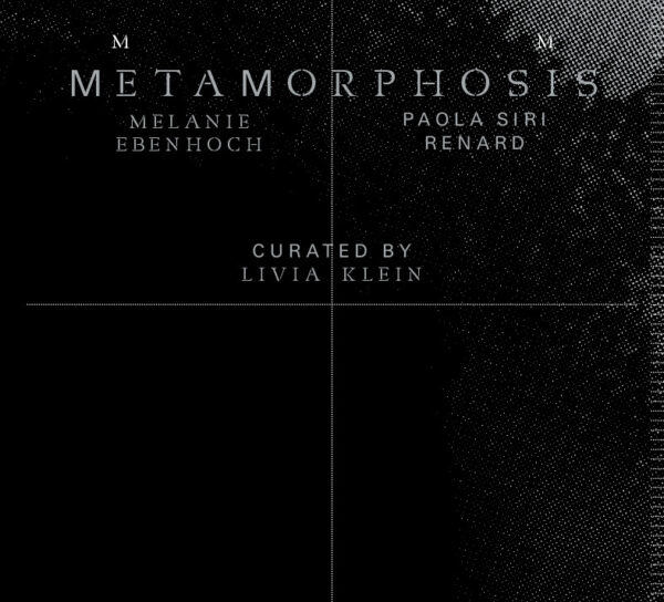 Preview Metamorphosis